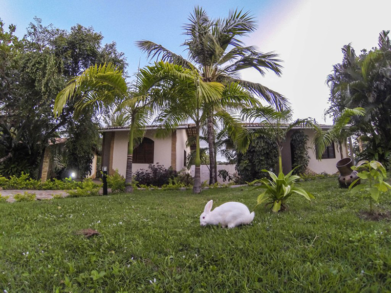 DCIM100GOPRO